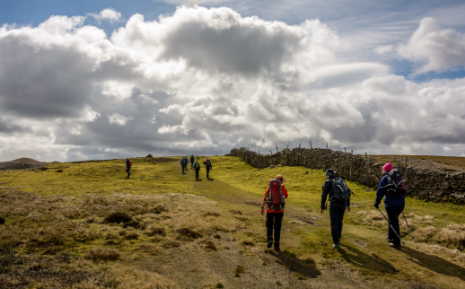 Backpacker Pitch
